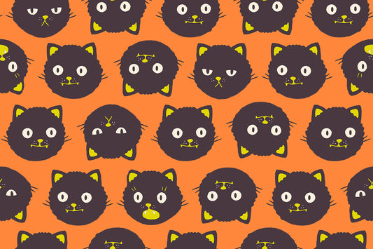Scaredy Cats - Pumpkin GiTD