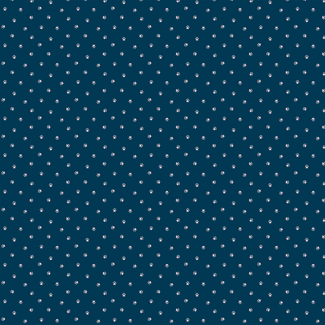 Toe Beans on Navy for Best Friend by Lemonni