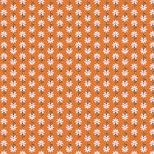 Load image into Gallery viewer, Daisy on Orange from Pickle Juice by Dana Willard

