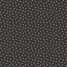 Load image into Gallery viewer, Stars on Smoke from Pickle Juice by Dana Willard
