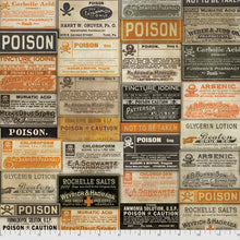 Load image into Gallery viewer, Apothecary from Regions Beyond by Tim Holtz
