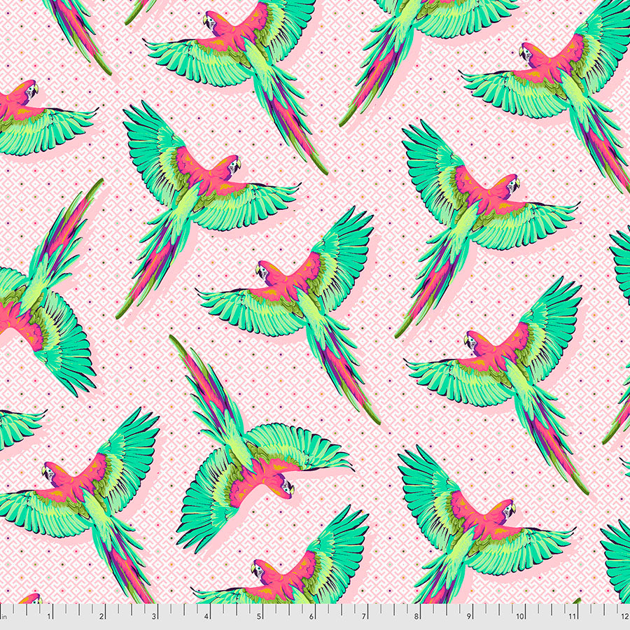 Macaw Ya Later Daydreamer by Tula Pink
